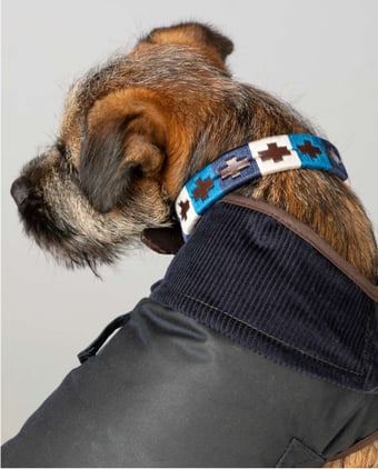 COLLARS