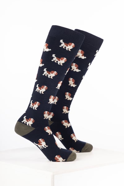 Herren-Gummistiefelsocken für Hunde - Spaniel Marineblau
