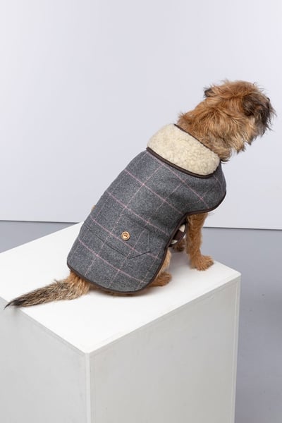 Tweed Dog Coat - Grey