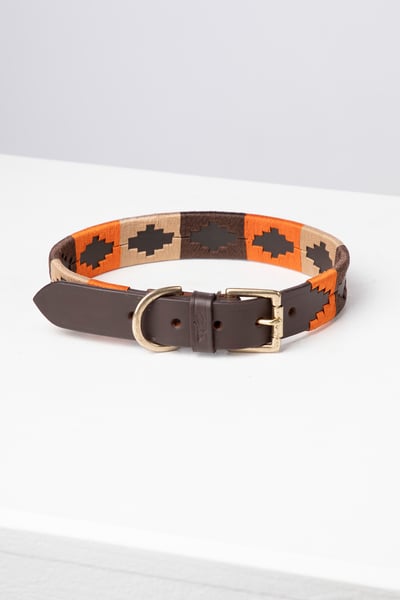 Collier pour chien Polo Belt - Burnt Orange/Brown/Beige