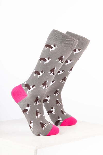 Damen-Hundesocken - Border Collie Grau