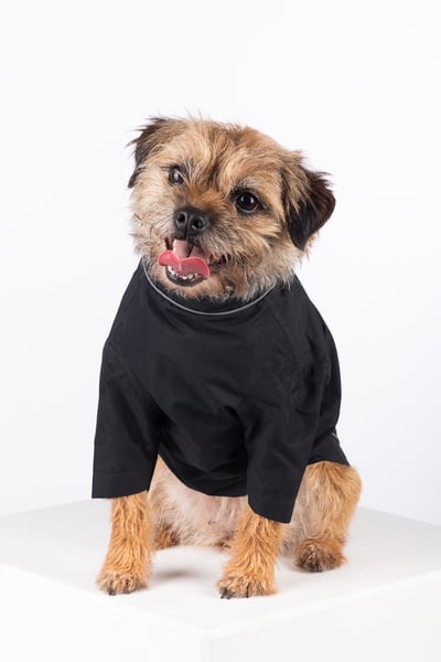 Hunderegenmäntel - Yapham - Schwarz