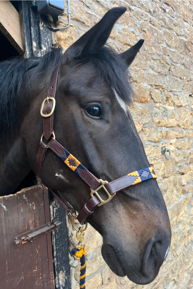 Polo Head Collar