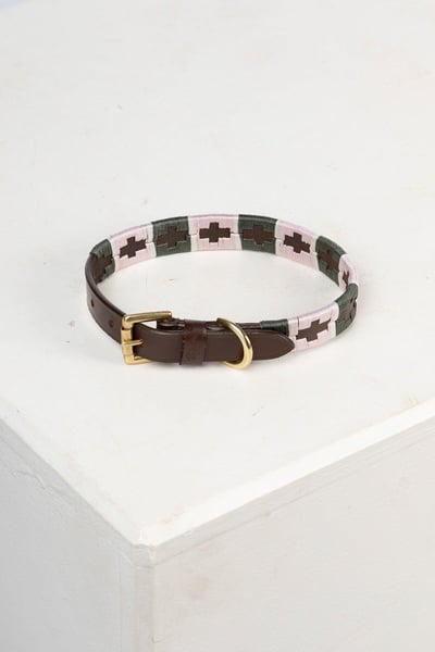 Hundehalsband mit Polo-Gürtel - Oliv/Weiß/Sorbet
