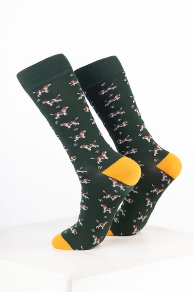 Chaussettes pour chiens pour hommes - Beagle Olive Foncé
