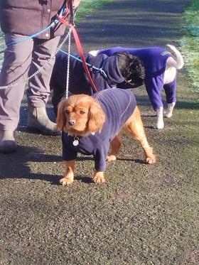Huggate fleece