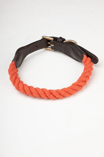 Rope Dog Collar – Yapham - Burnt Orange