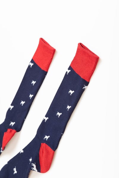 Men's Walking Dog Socks - Navy/Red
