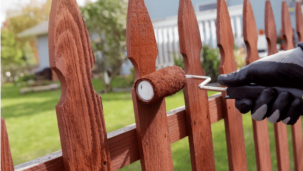 Person applying brown wood stain to a wooden garden fence with a paint roller.