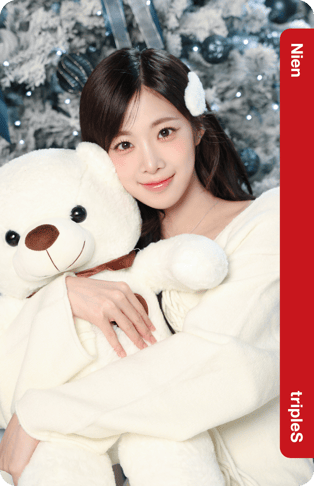 Nien 317Z