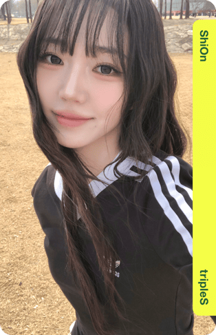ShiOn 356Z