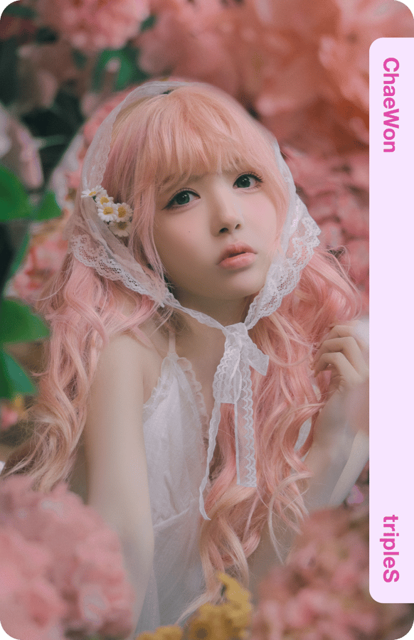 meowly's Collection · Apollo