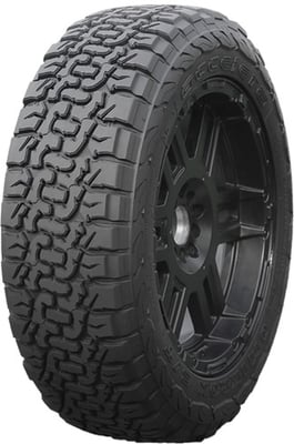 Accelera 225/65R17 107/103Q Omikron C/T