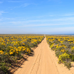 NAMAQUA NATIONAL PARK