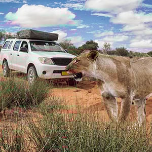KGALAGADI TRANSFRONTIER PARK