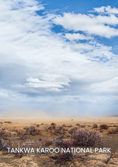 TANKWA-KAROO-NATIONAL-PARK