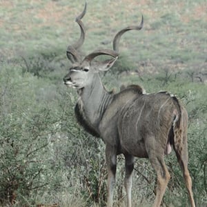 GOODHOPE PRIVATE RESERVE