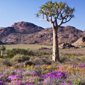 GOEGAP NATURE RESERVE