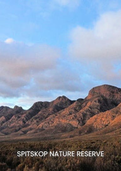 SPITSKOP-NATURE-RESERVE