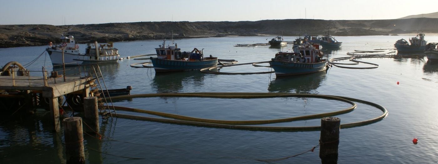 ALEXANDER BAY Northern Cape South Africa