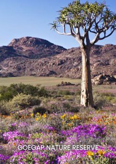 GOEGAP-NATURE-RESERVE