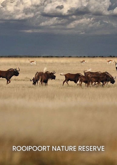 ROOIPOORT-NATURE-RESERVE