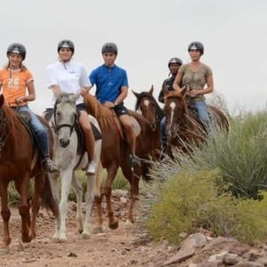 KHAMKIRI ADVENTURE DESTINATION - HORSE RIDING