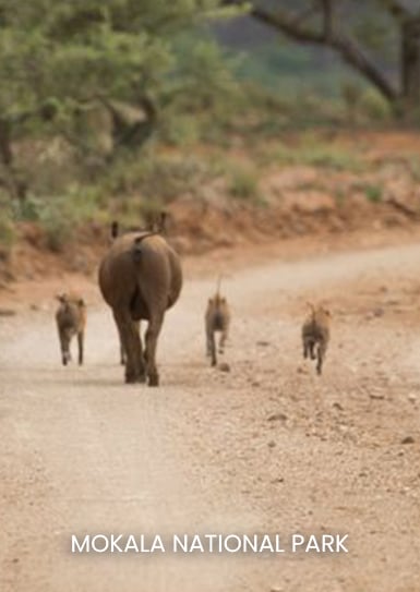 MOKALA-NATIONAL-PARK
