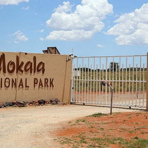 MOKALA NATIONAL PARK
