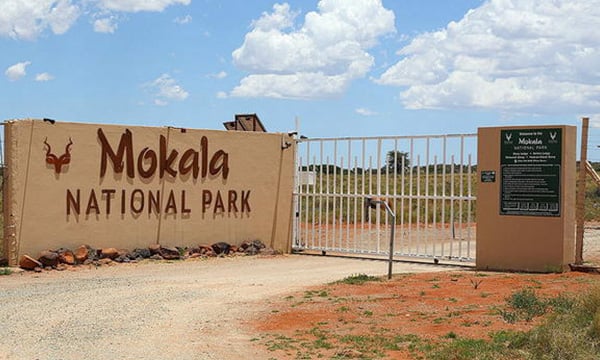 MOKALA NATIONAL PARK | Northern Cape South Africa