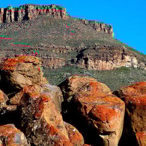 AKKERENDAM NATURE RESERVE