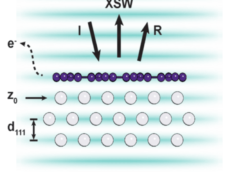 X-ray standing wave characterization resolves the atomic structure of the synthetic 2D material borophene.