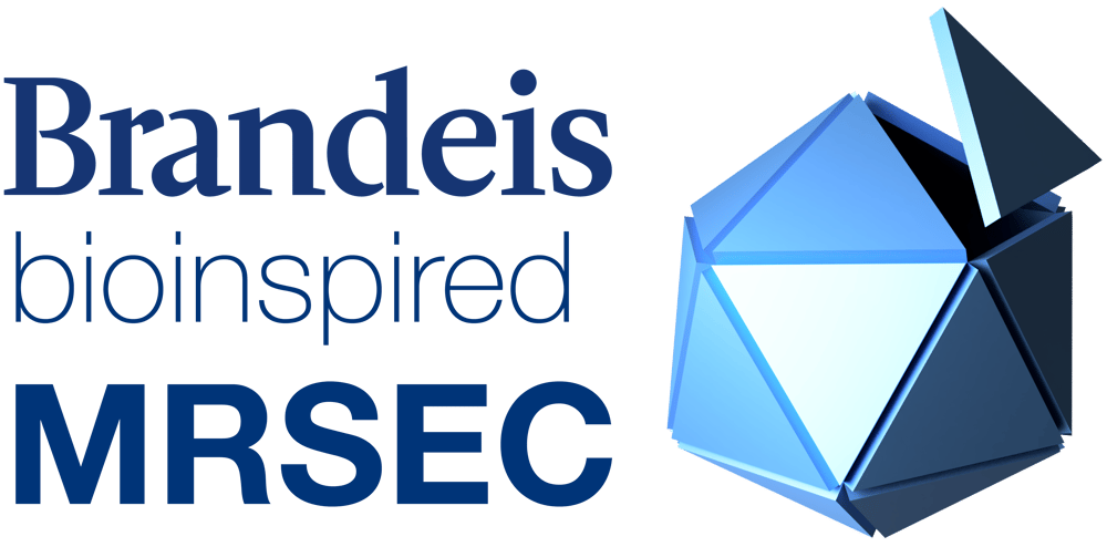 The Bioinspired Soft Materials Center