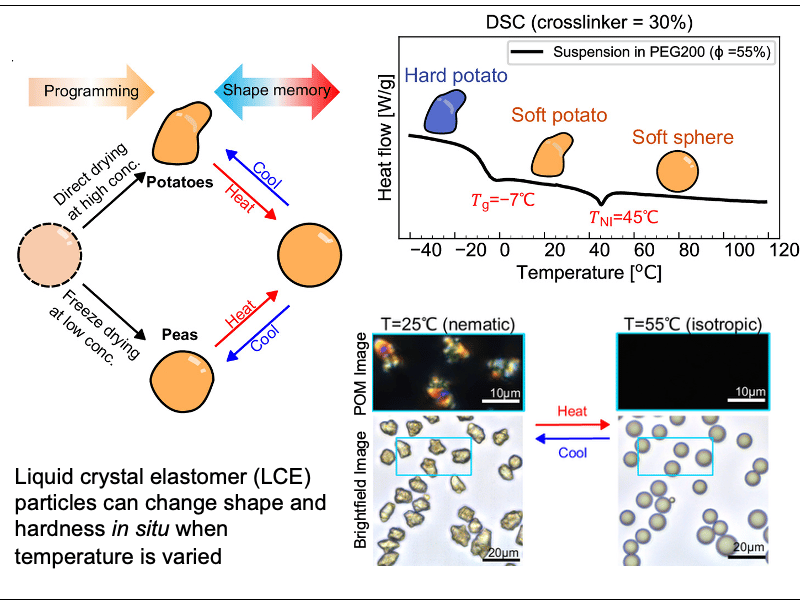Suspensions of Particles with Tunable Shape Memory