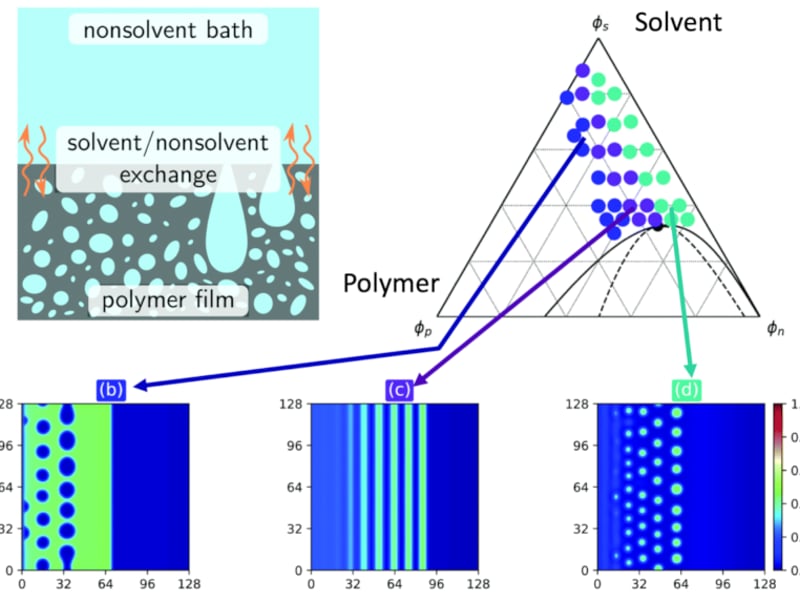 Modeling liquid-liquid phase separation to control polymer architecture.