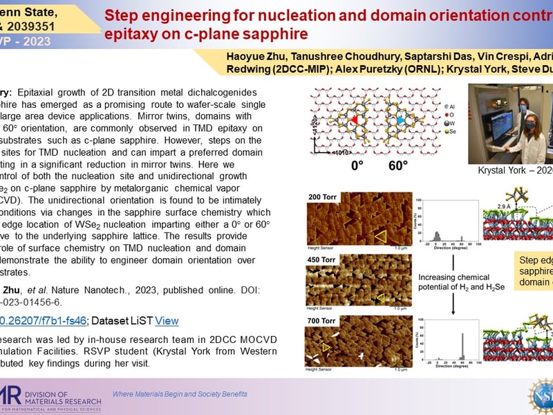 Step engineering for nucleation and domain orientation control in WSe2 epitaxy on c-plane sapphire