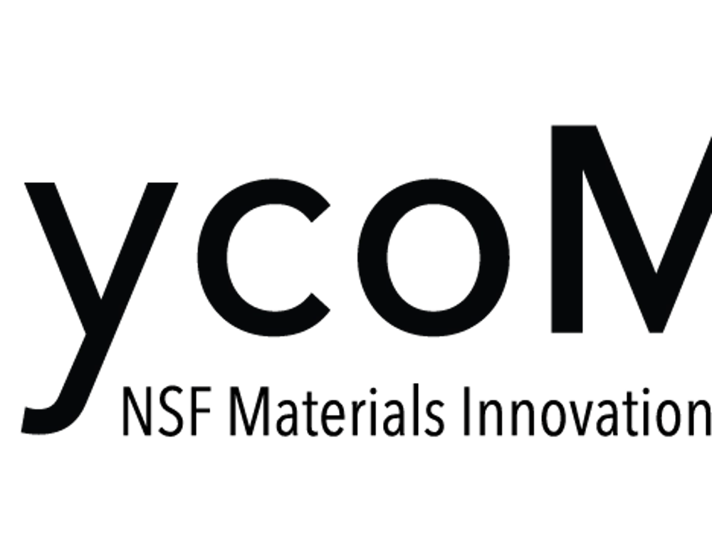 GlycoMIP