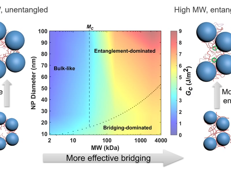 For PINFs with small nanoparticles, bridging is the dominant toughening mechanism. In contrast, for PINFs with large nanoparticles, chain entanglement in the pores of disordered packings of nanoparticles is the main mode of toughening.