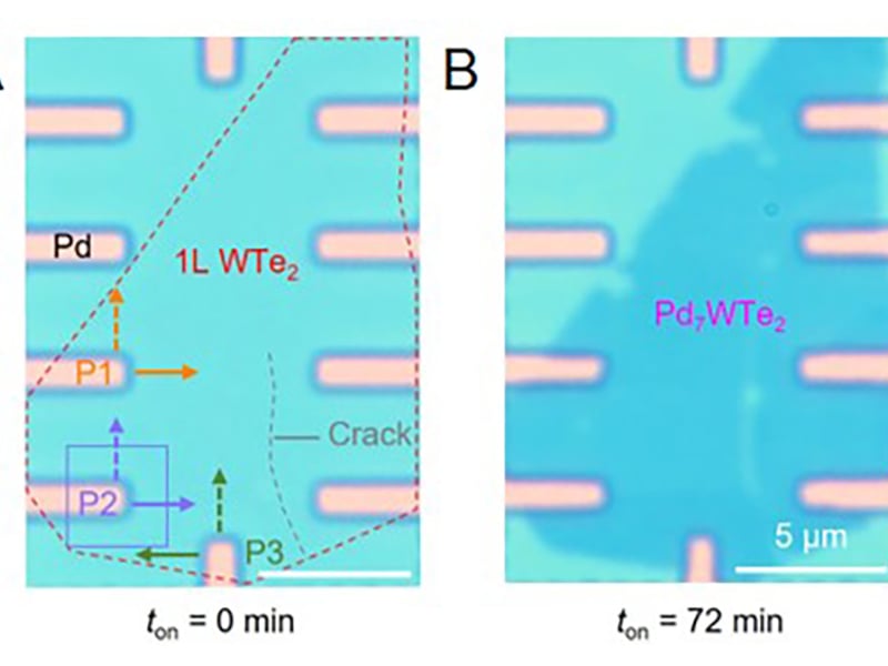 (A) Pd electrodes (pink) deposited on hBN film (blue) in contact with WTe2 (dashed outline) before heating. (B) Heating leads to formation of an ultrathin layer of Pd7WTe2 (dark blue).
