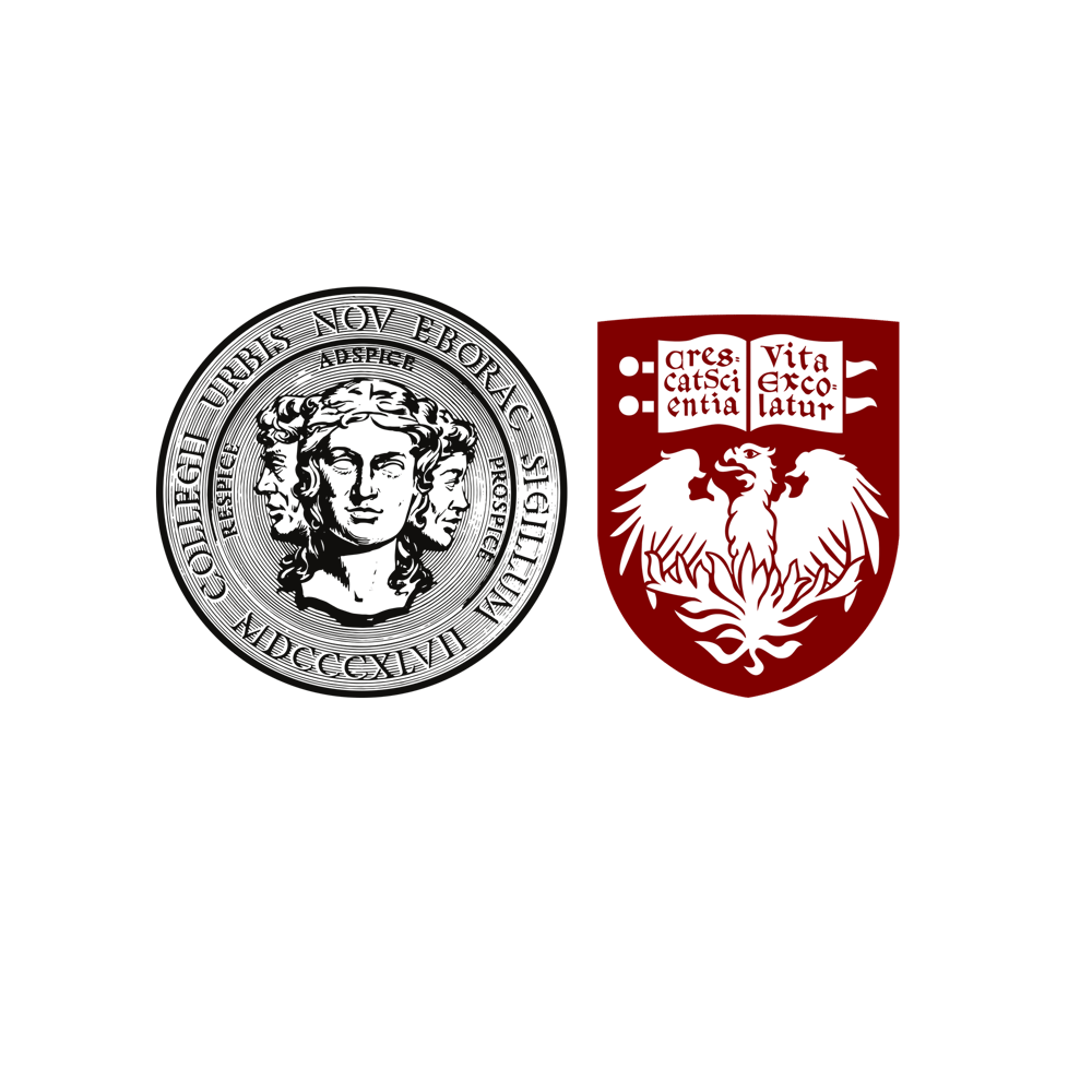 City College of New York - University of Chicago MRSEC
