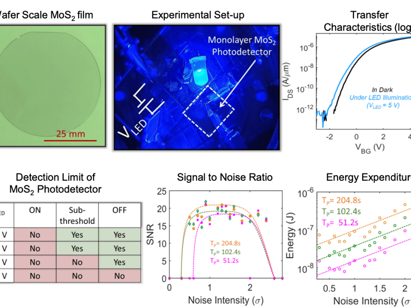 Stochastic Resonance In MoS2 Photodetector