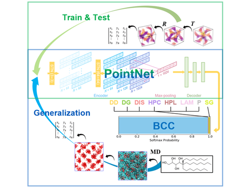 PointNet-meso: A Tool for Detecting Self-Assembled Block Oligomer Morphologies Image source: Z. Shen; Y. Z. S. Sun; T. P. Lodge; J. I. Siepmann