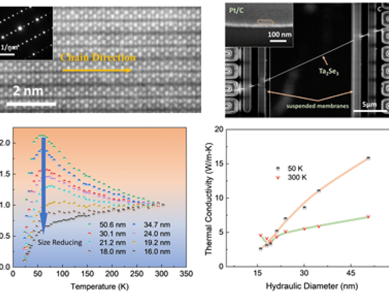 Elastic stiffening induces one-dimensional phonons in thin DMR-2039351 TaSe; nanowires
