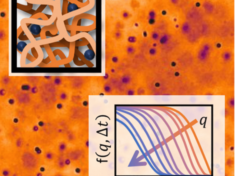 Differential Dynamic Microscopy for the Characterization of Polymer Systems