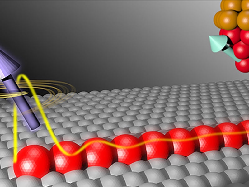 A schematic of the experiment in which a spin polarized STM is used to probe spin signature of Majorana zero mode at the end of the chain.
