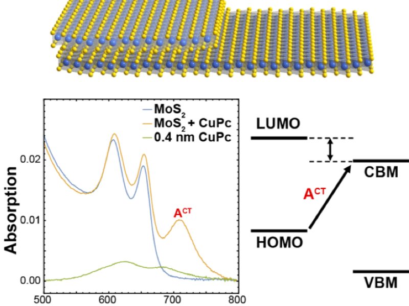 (top) Bilayer and monolayer MoS2 are interfaced with metal-core phthalocyanine molecules. (bottom) A low-energy absorption peak emerges due to charge transfer across the Pc-MoS2 heterojunction.