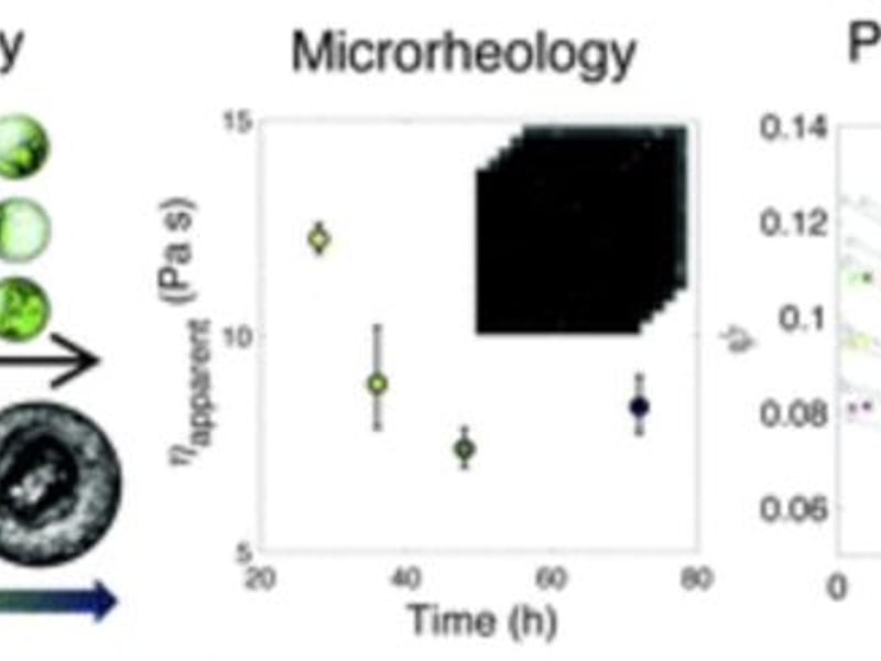 By tracking the progression of phase separation, relationships between composition and viscosity are extracted to construct a coacervate phase diagram, accelerating the multi-phase material space discovery. 