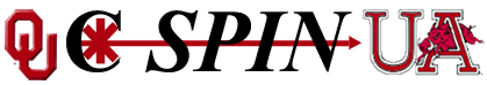 CSPIN — Center for Semiconductor Physics in Nanostructures (2005)