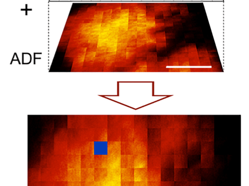 (Gunawan et al., Nano Letters 2011, 11, 5553-5557)