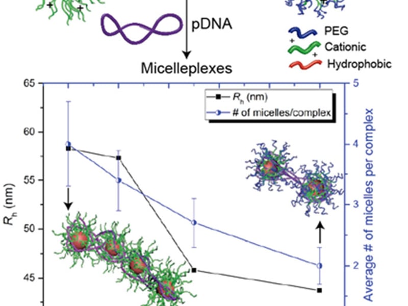 (Top) Cationic micelles can be formed via self-assembly from amphiphilic block polymers and complexed with pDNA to form micelleplexes. (Bottom) The number of micelles per micelleplex was estimated using the Mw of the micelleplexes measured by SLS with the assumptions that all micelleplexes are identical and that there are no excess free micelles.